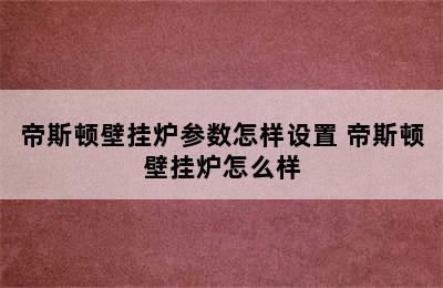 帝斯顿壁挂炉参数怎样设置 帝斯顿壁挂炉怎么样